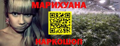 a pvp Рыбинск