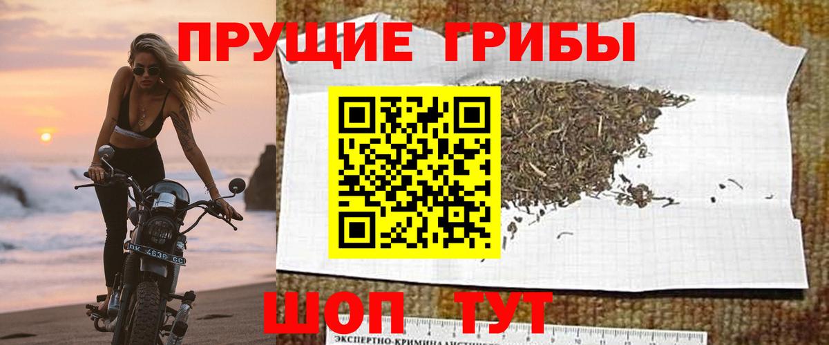 Галлюциногенные грибы мухоморы Нягань